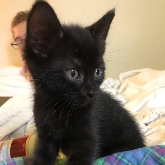 About Me! - Picture 3 of 5